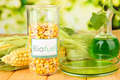 Leuchars biofuel availability