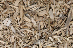 biomass boilers Leuchars